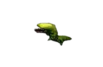 Larva