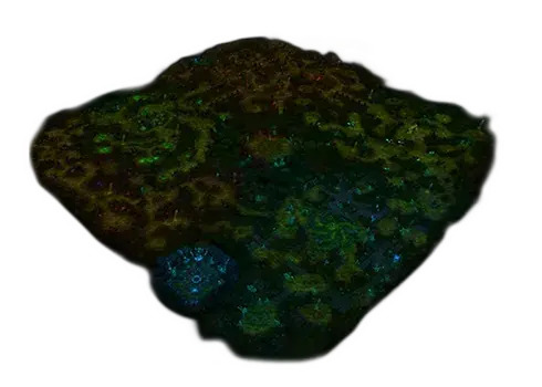Swamp of Darkness