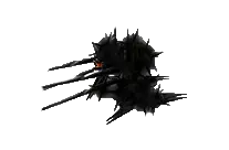 Poison Shadow