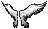 Small Wings of Heaven
