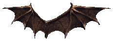 Small Wings of Satan