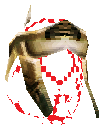 Mage Pad Helmet