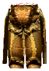 Bronze Pants
