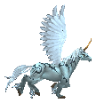 Pet Unicorn