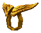 Protection Ring