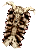 Skull Shield
