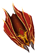 Salamander Shield