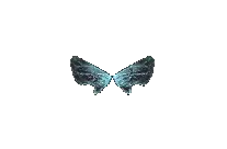 Wings of Elf
