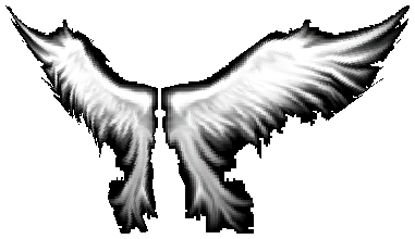 Wings of Heaven