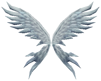 Wings of Soul