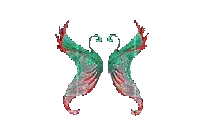Wings of Illusion